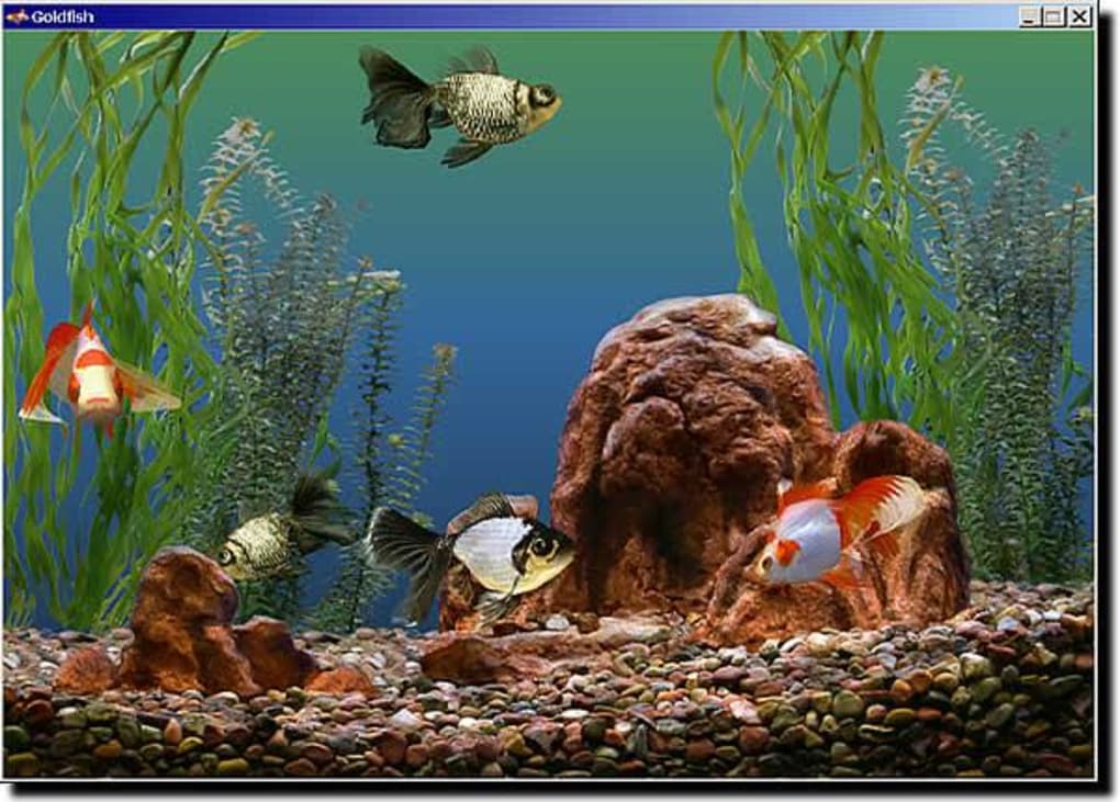 free marine aquarium screensaver mac