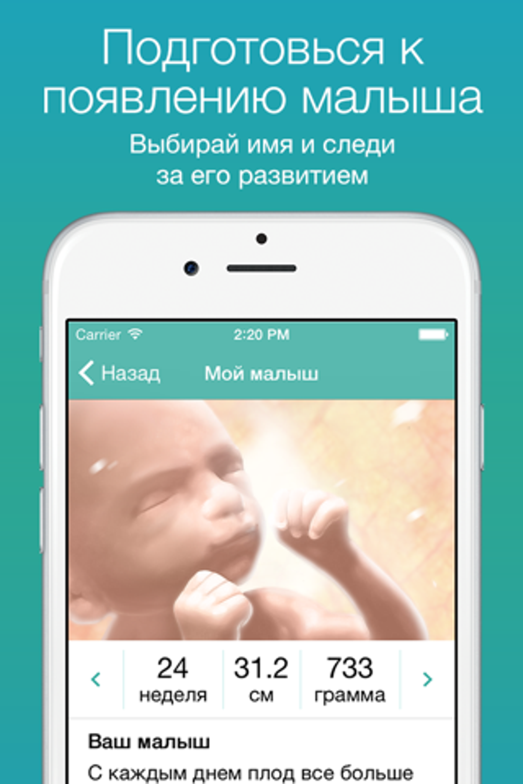 Беременность 24 для iPhone — Скачать