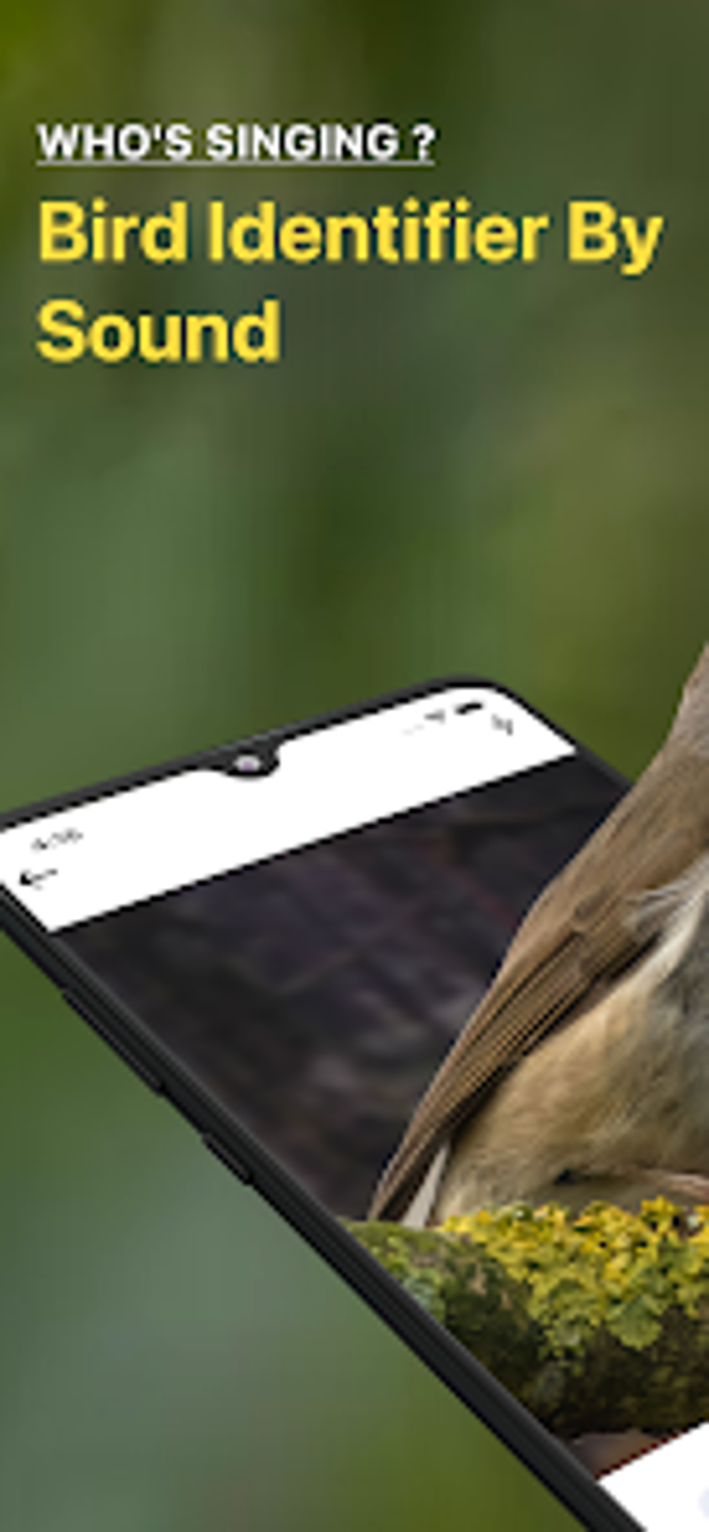 Bird Sound Identifier Bird ID for Android - Download