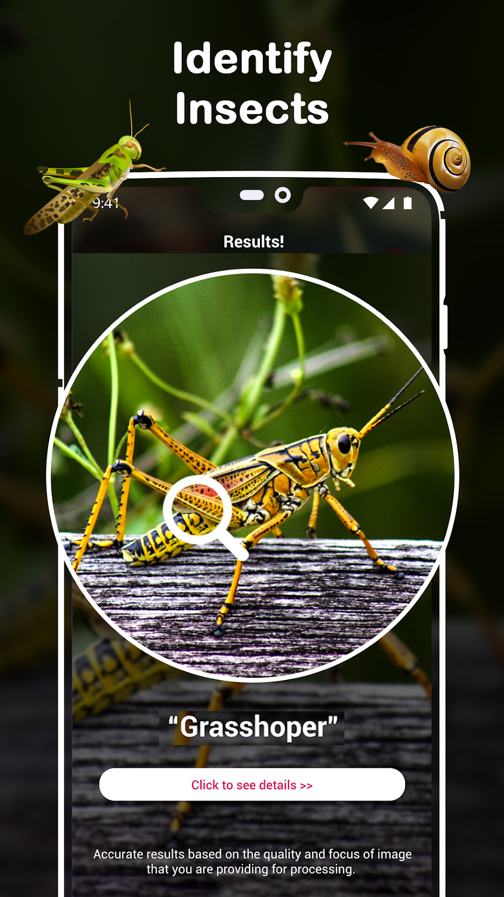 Insect Identifier : Insect ID AI Photo Camera для Android — Скачать