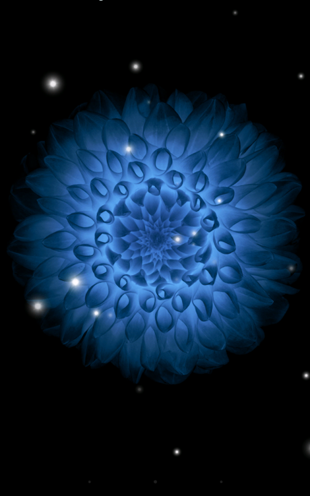Galaxy flowers live wallpaper apk for android download