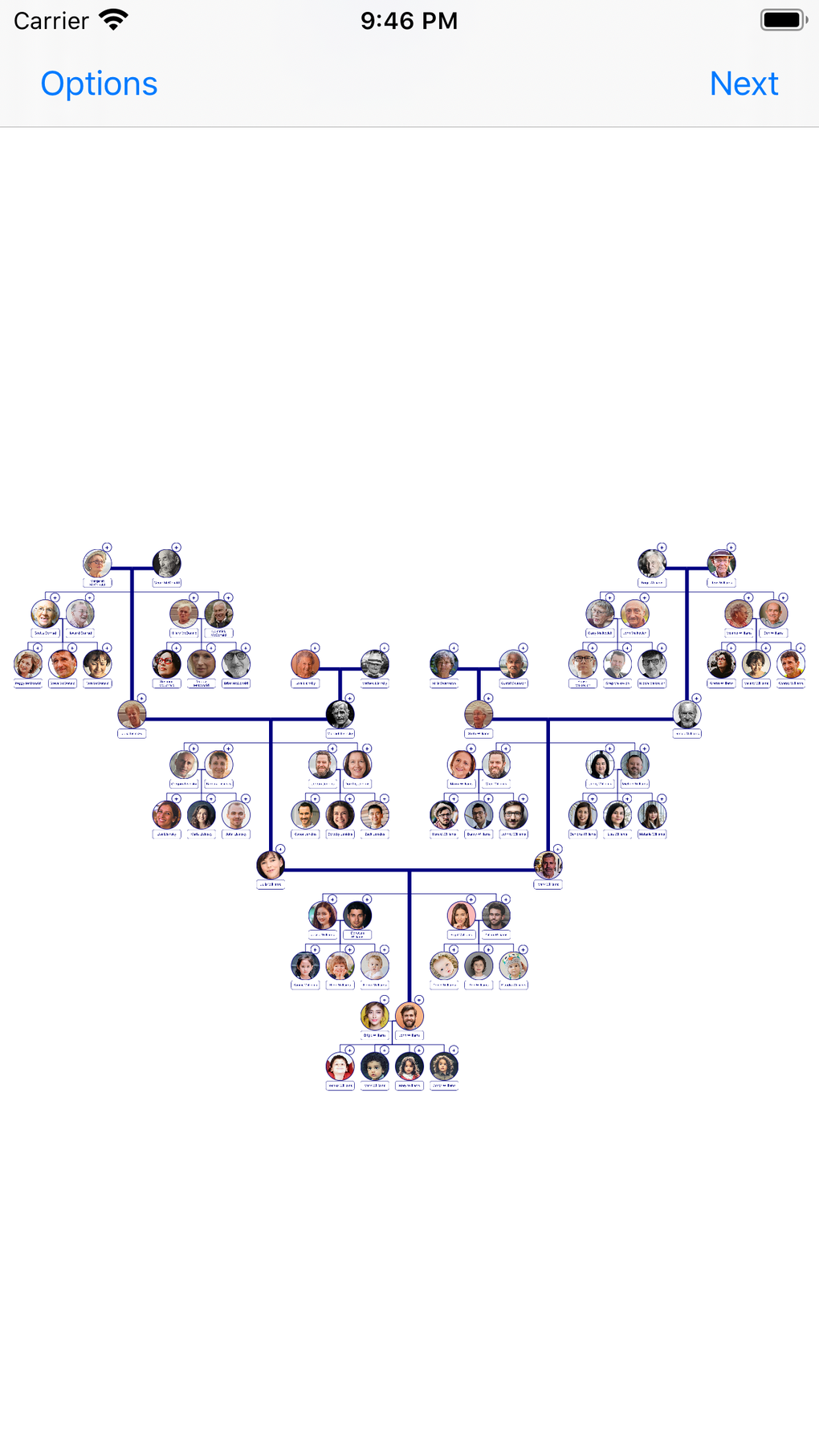 IPhone Family Tree Photo 