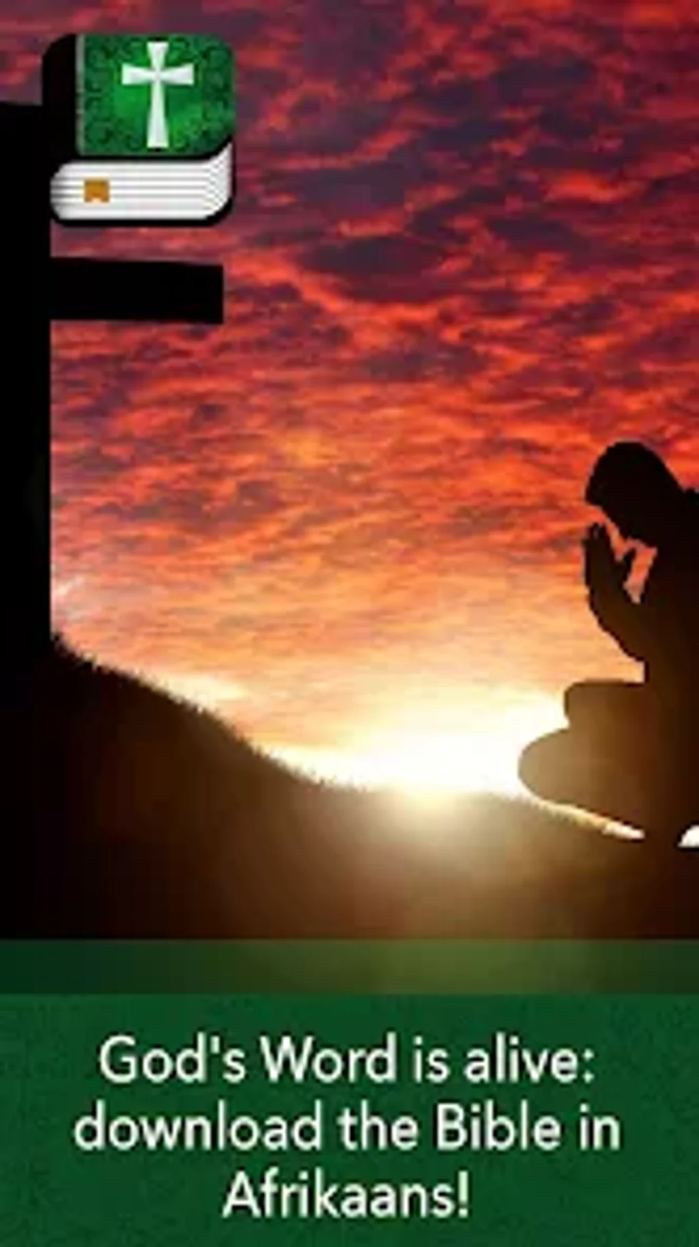 Bible in Afrikaans for Android Download
