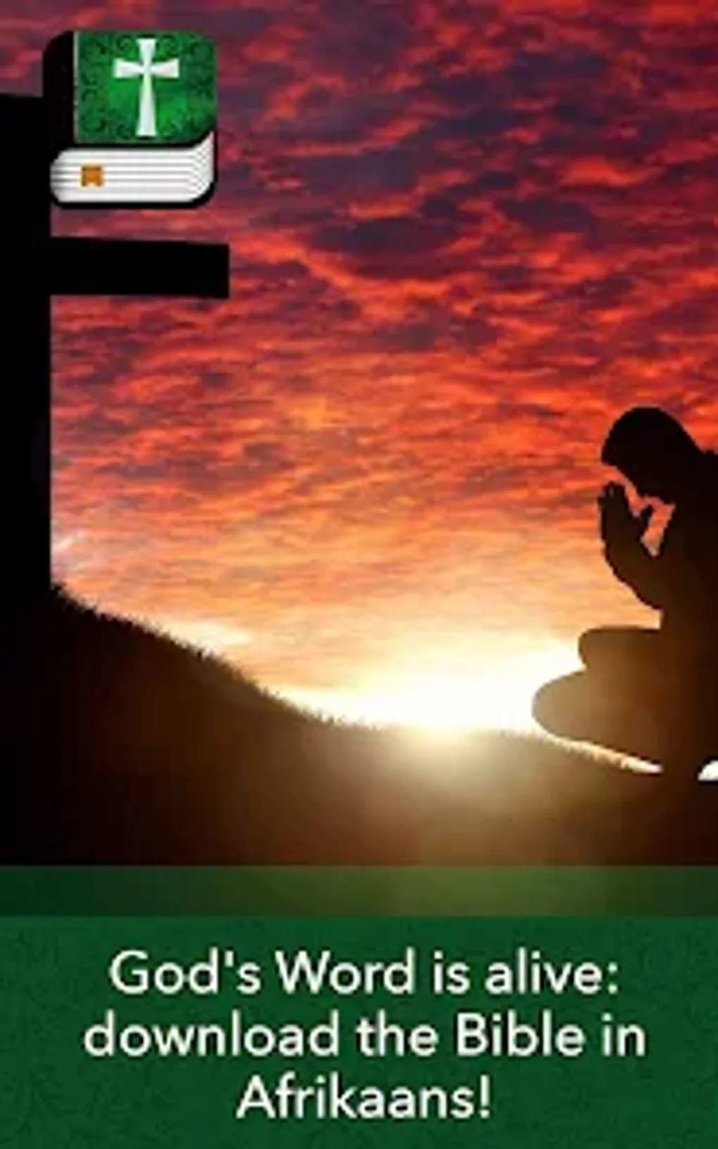 bible-in-afrikaans-for-android-download