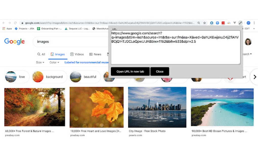 URL Editor for Google Chrome Extension Download