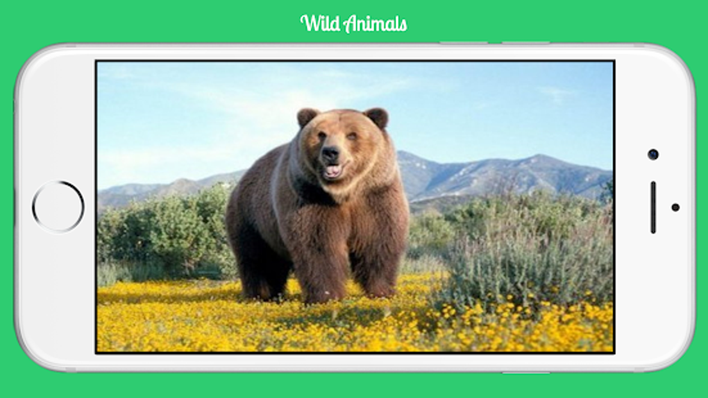 Wild Animals APK Android - ダウンロード