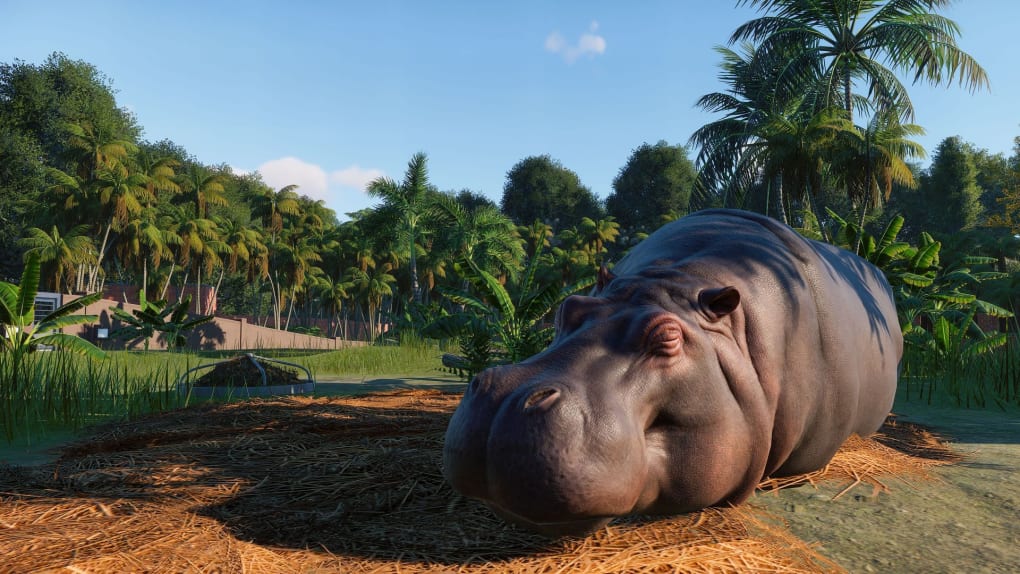 Planet Zoo: veja requisitos e como jogar o simulador de zoológico para PC
