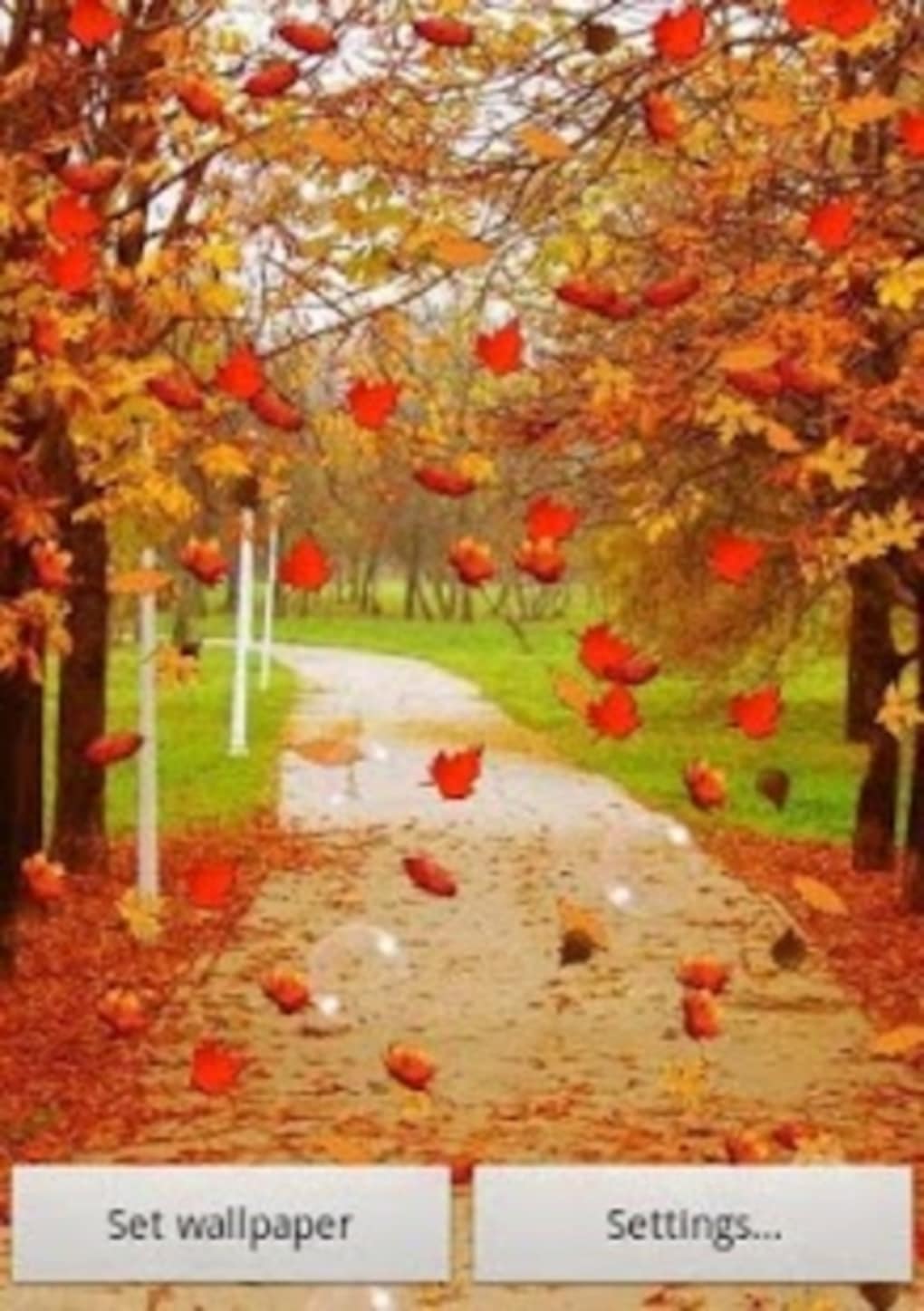 Autumn Live Wallpaper Free cho Android - Tải về