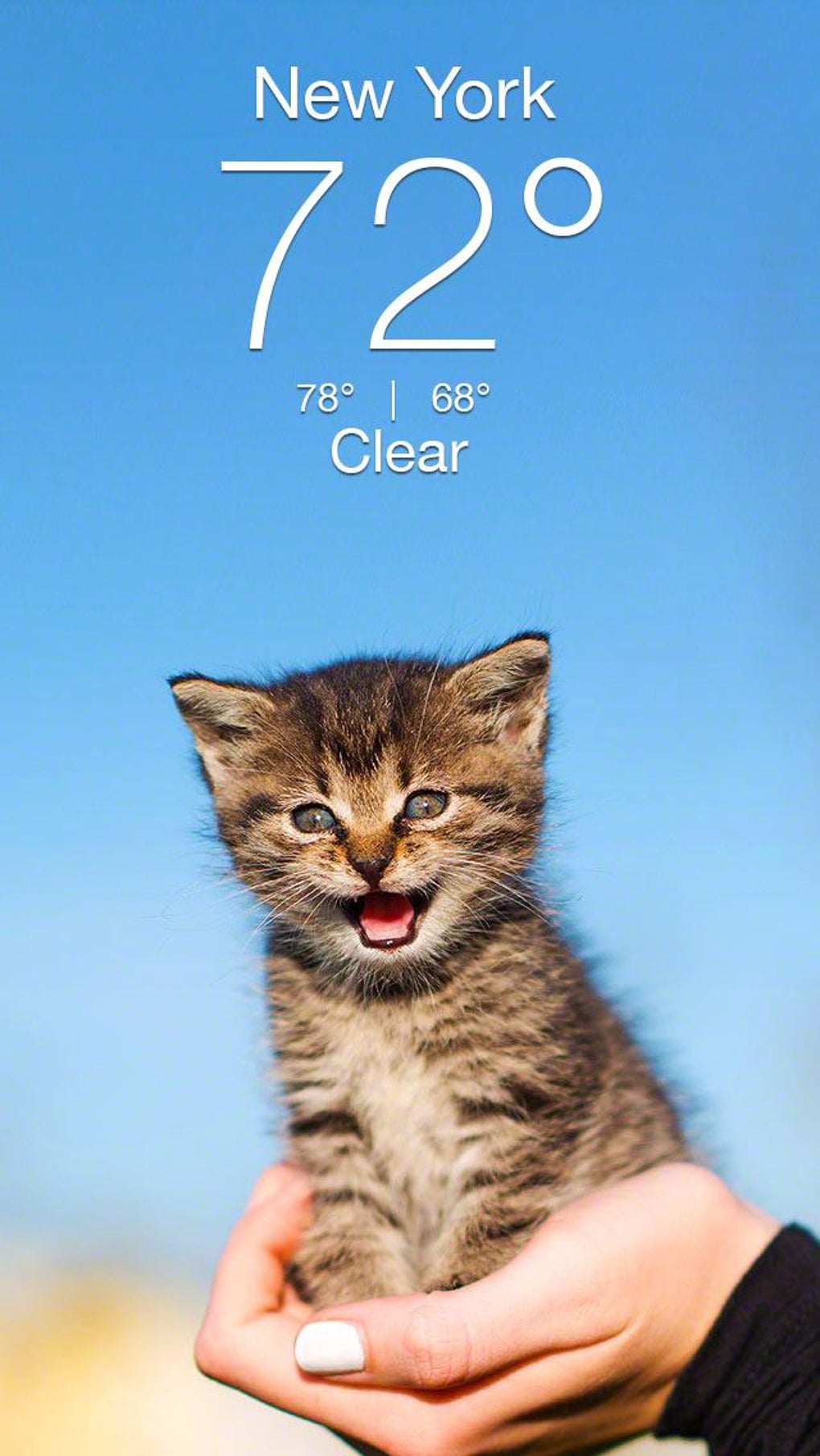 Weather Kitty - App Widget Weather Forecast для Android — Скачать