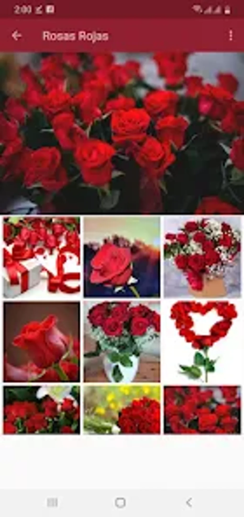 Rosas Rojas Y Flores Hermosas لنظام Android - تنزيل