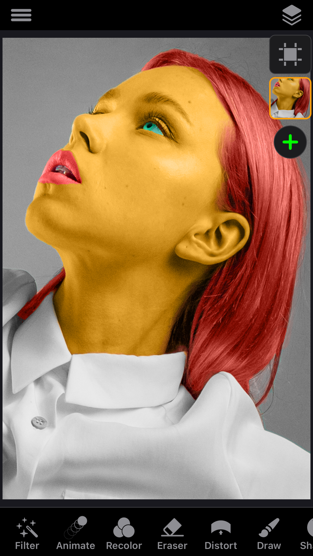 iPhone için ReColor Art Photo Editor İndir