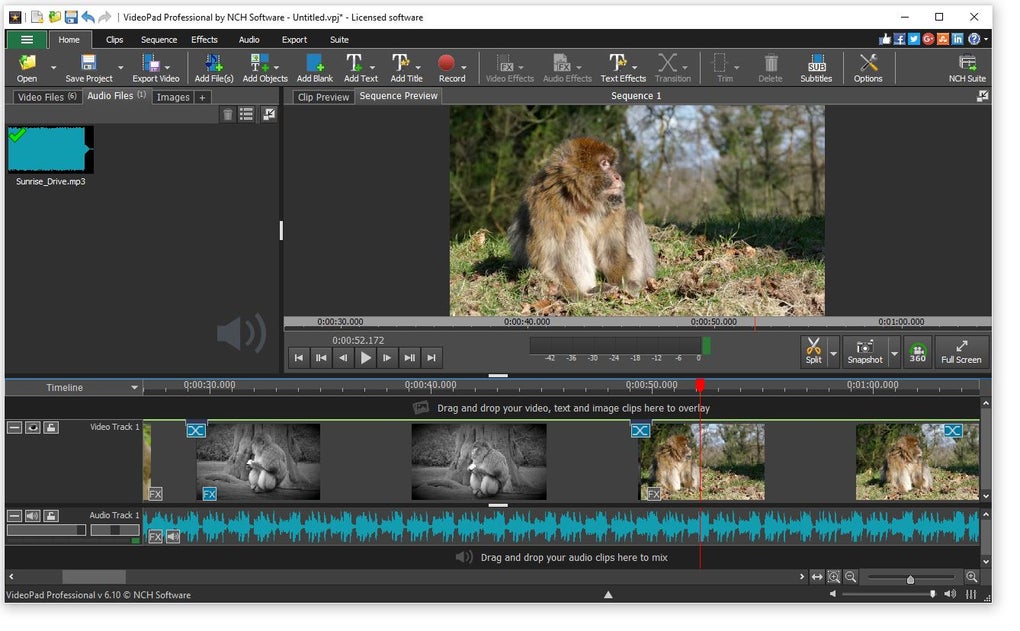 videopad editor free version