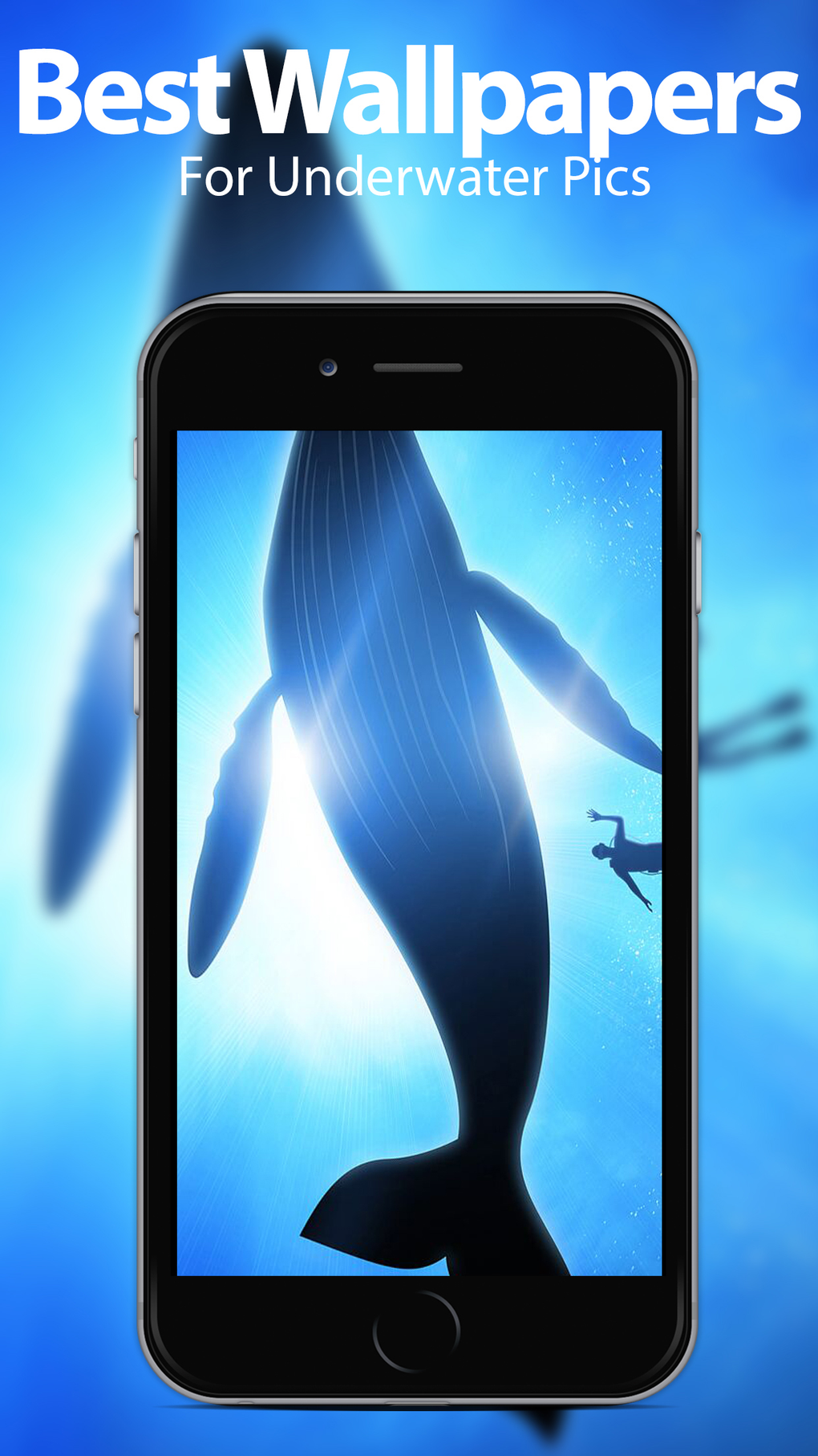 Underwater Wallpapers Themes для iPhone — Скачать