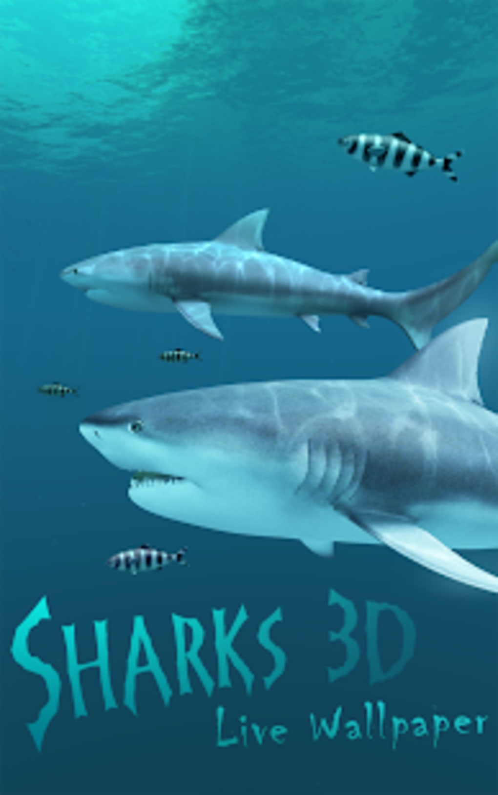 sharks 3d live wallpaper and screensavers