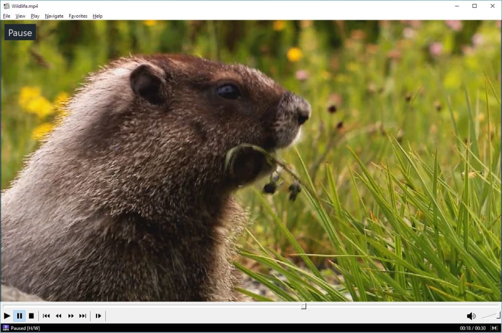 download media player classic for mac