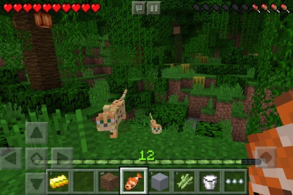 Minecraft For Iphone Download