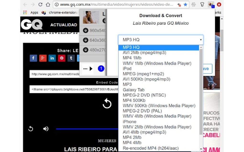 video downloadhelper addon for chrome