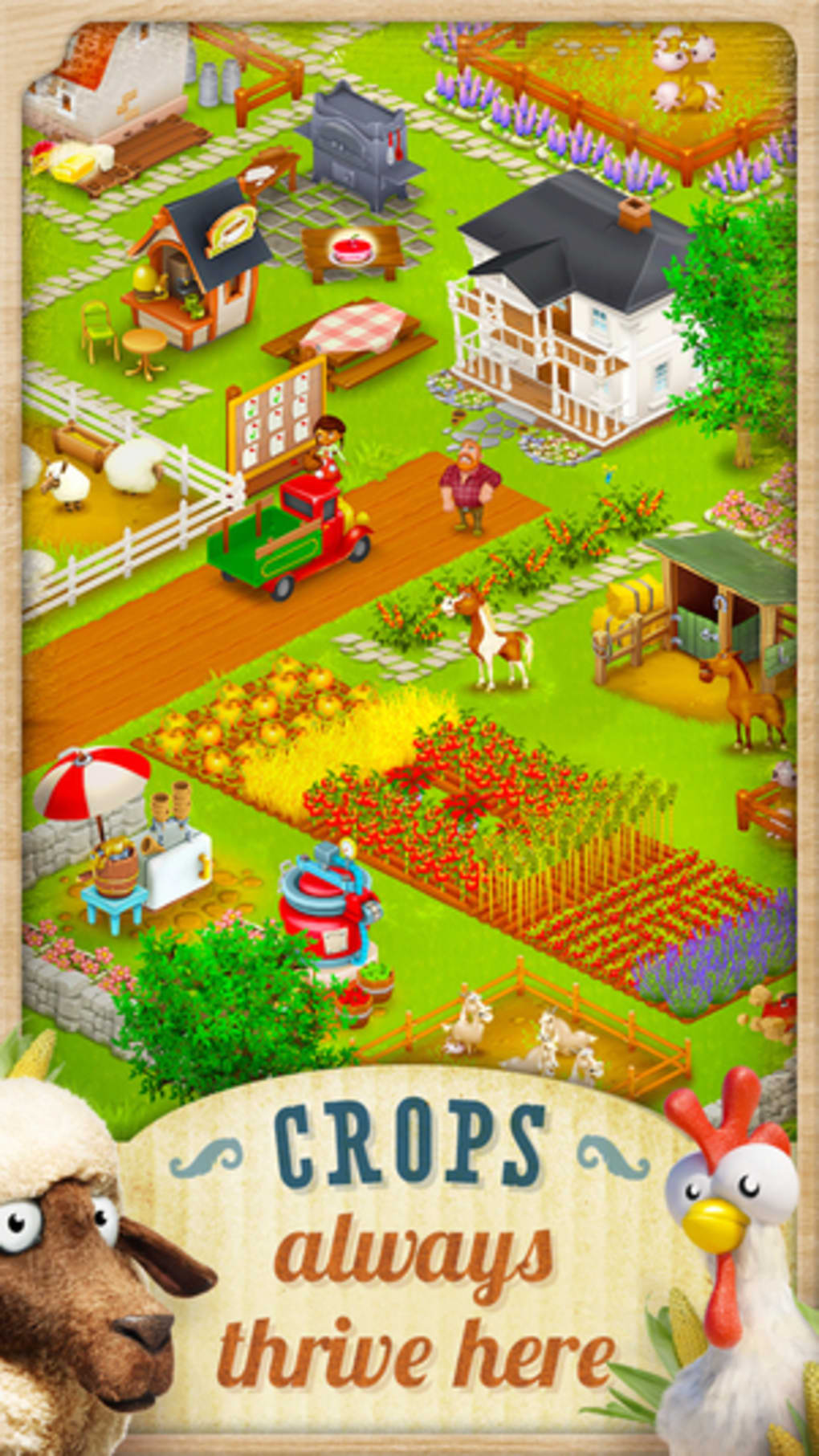hay day for iphone download
