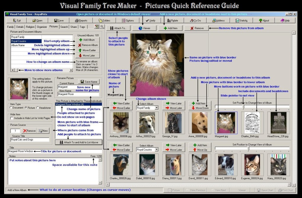 Visual Family Tree Maker Download