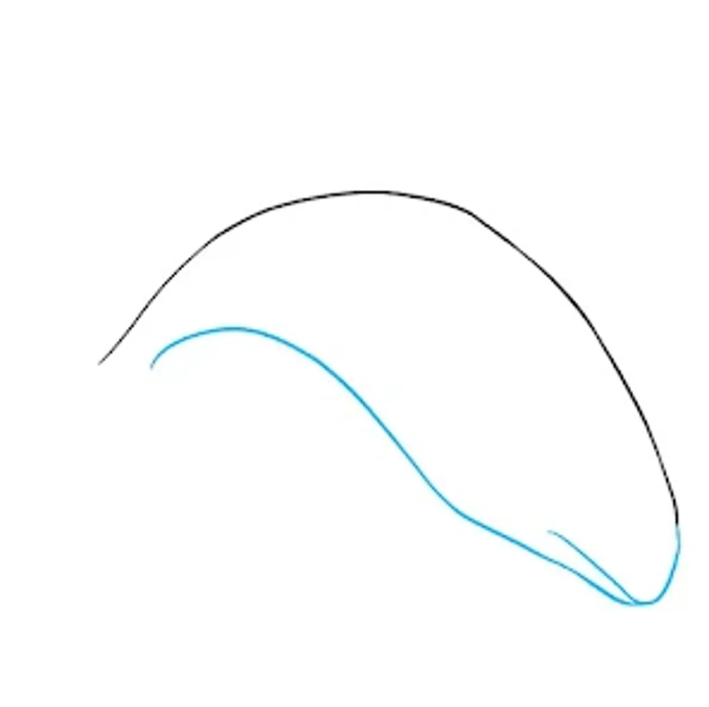 How To Draw Animals Step By St For Android Download