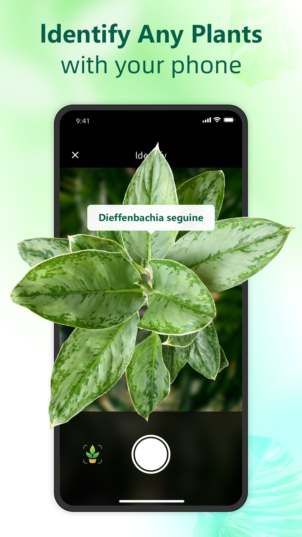 Flora Snap - Plant Identifier для iPhone — Скачать