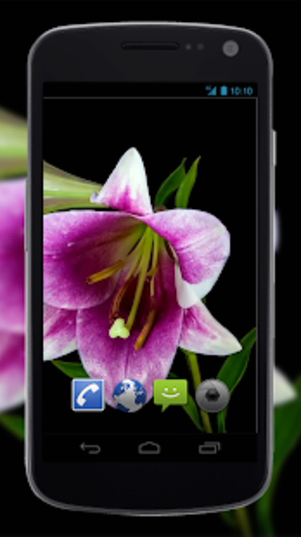 4K Flowers Video Live Wallpapers APK for Android - Download