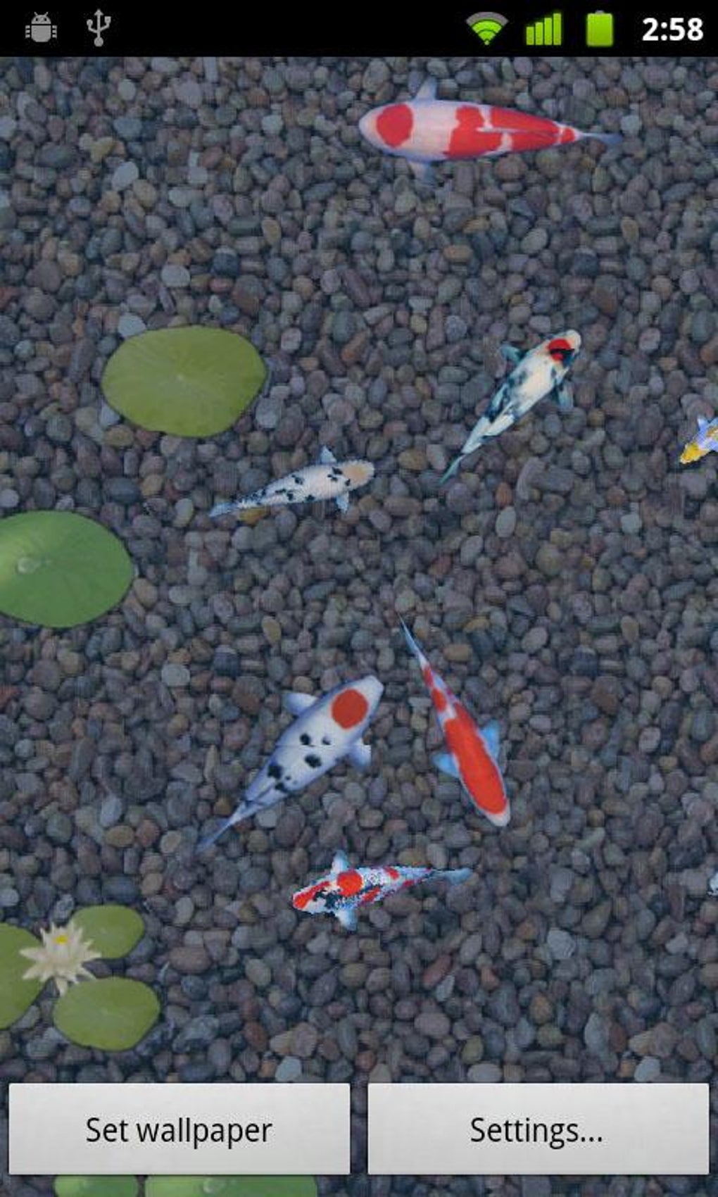 aniPet Koi (free) Live Wallpaper APK for Android Download aniPet Koi (free) Live Wallpaper APK for Android Download