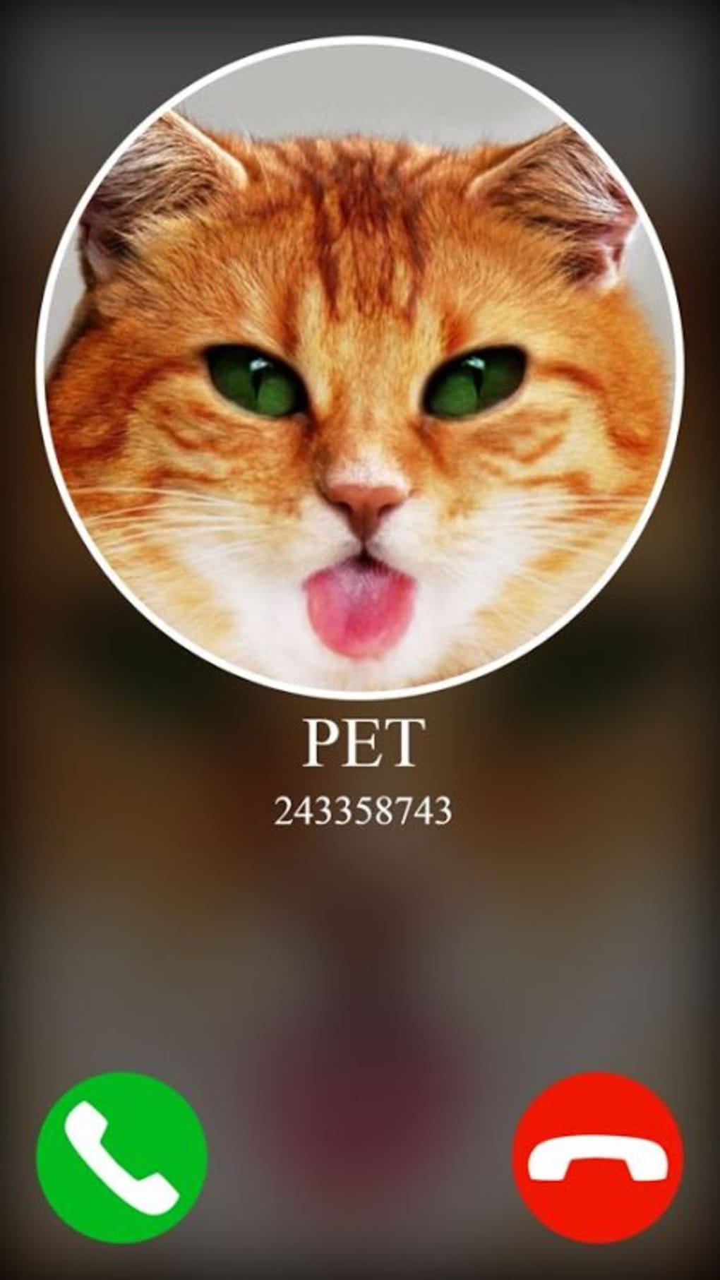 Call pet