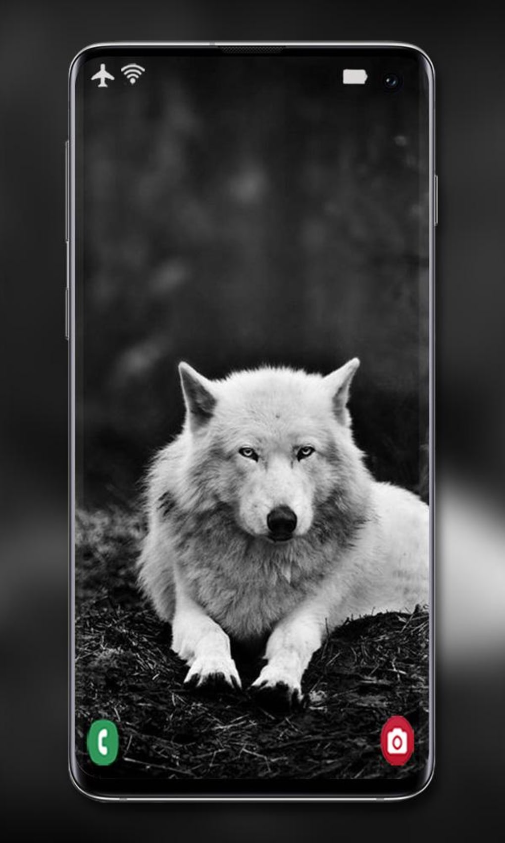 Tải xuống APK Chó sói Hình nền động cho Android