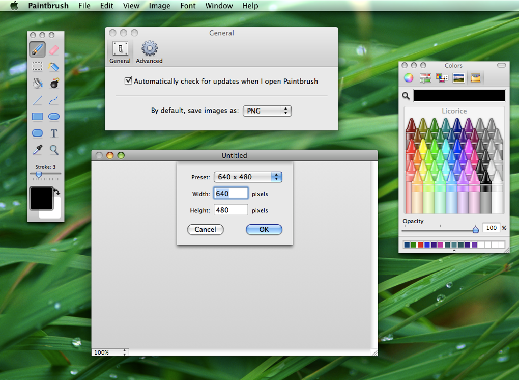 paintbrush app for mac