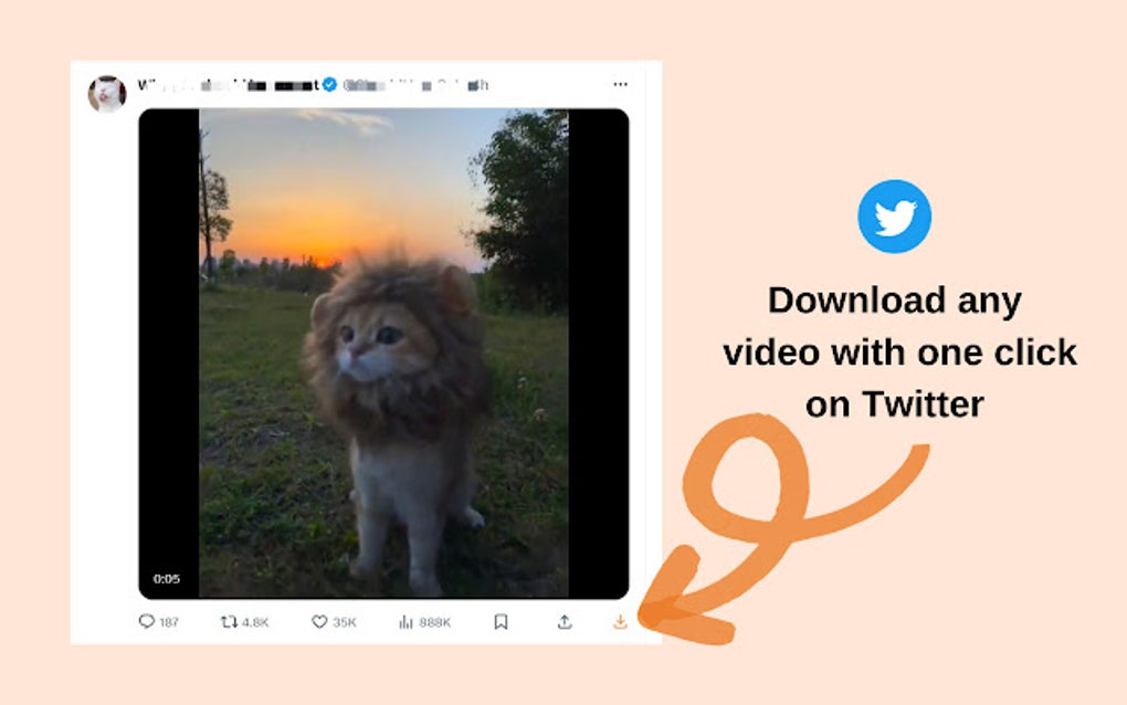 chrome twitter video downloader extension