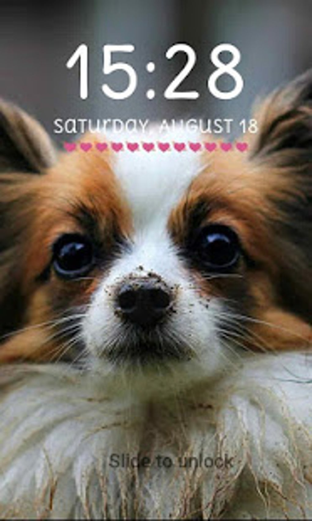 Cute Puppy Lock Screen Cute Puppy Pattern Passcode for Android - Download