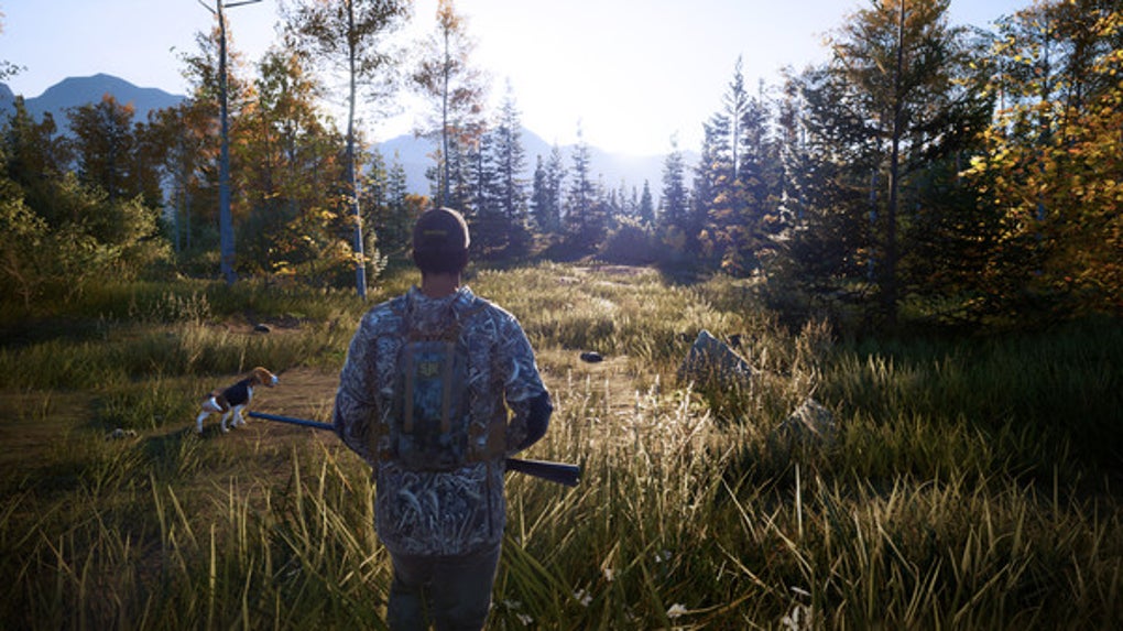 Hunting Simulator 2 codes (August 2023)