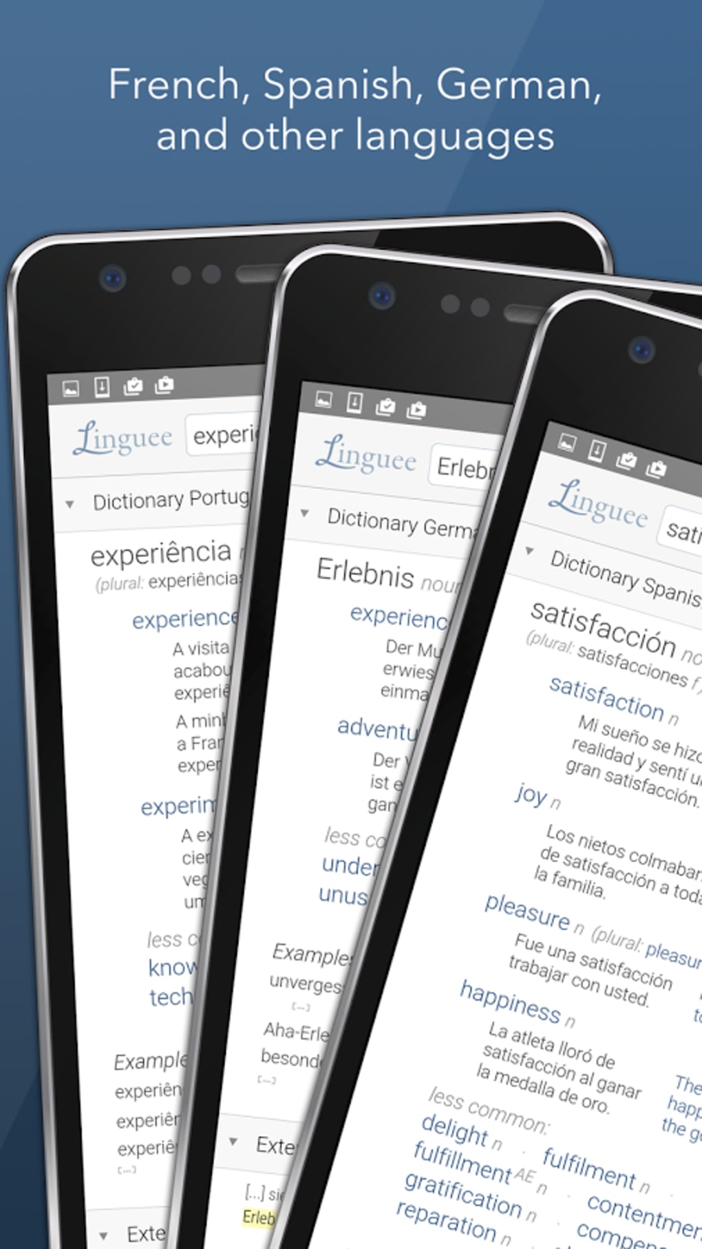 Dictionary Linguee APK for Android