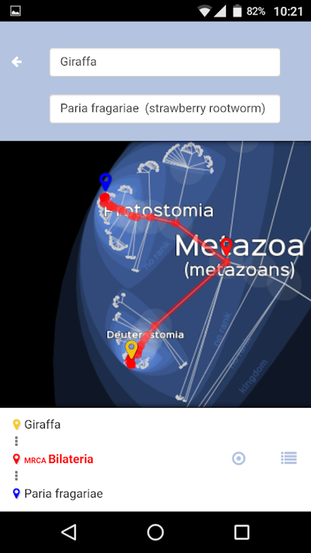 Lifemap - Tree of Life APK for Android - Download