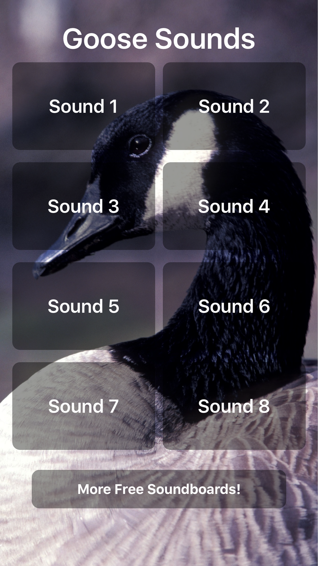 Goose Sounds для iPhone — Скачать