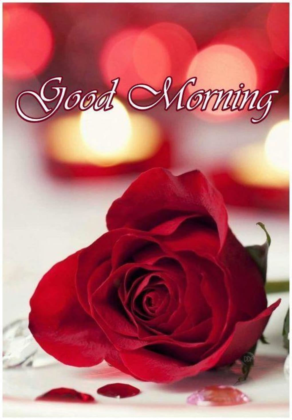 Good Morning My Love Gif for Android - Download