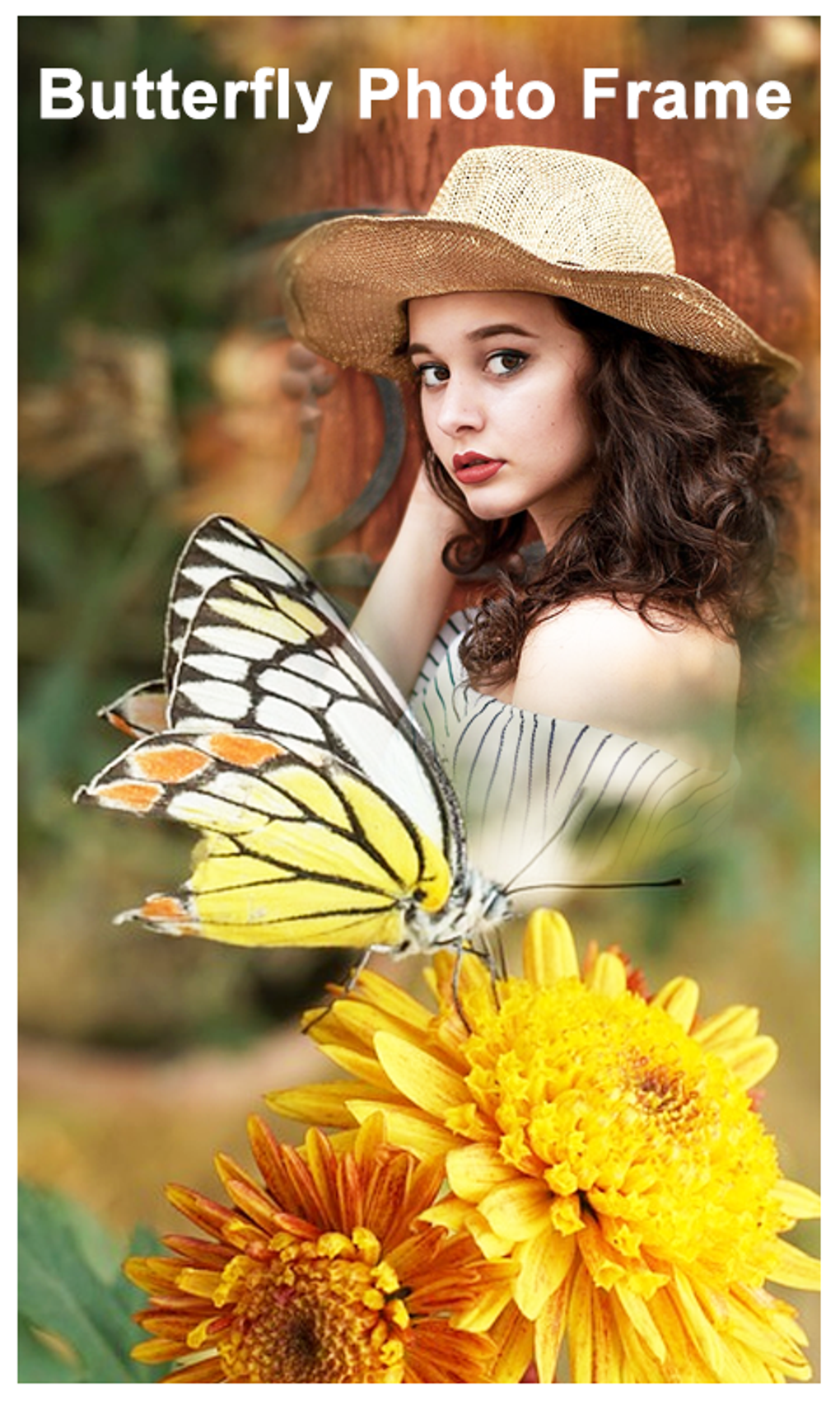 butterfly-photo-frames-for-android-download