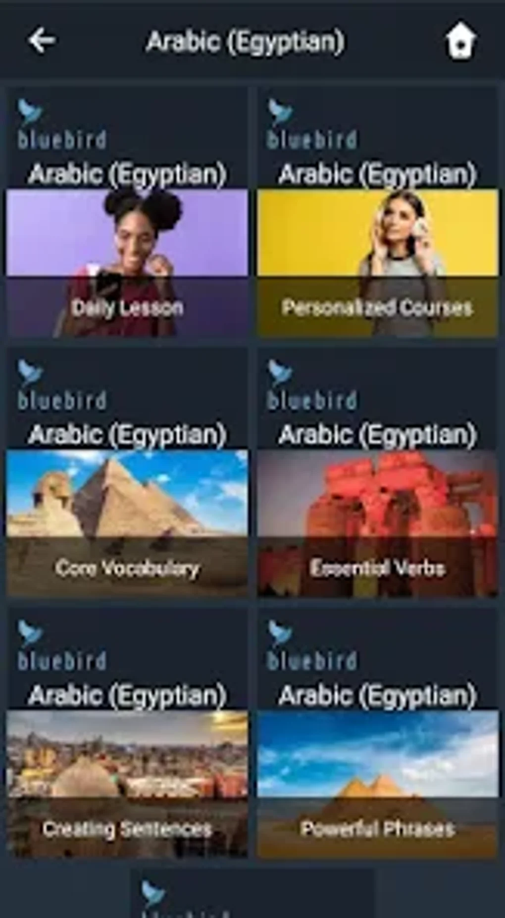 Learn Egyptian Arabic. Speak E для Android — Скачать