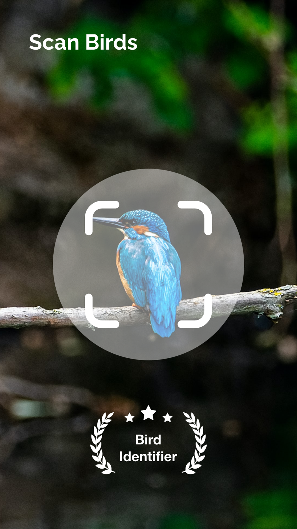 Bird Identifier Bird Id for iPhone Download