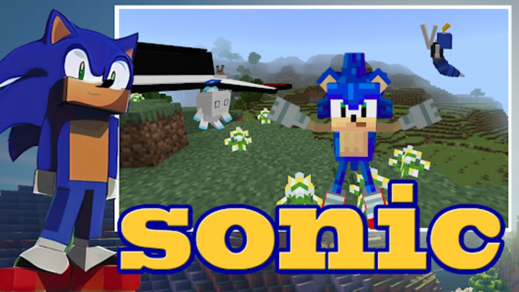 Sonic Hedgehog Minecraft Mod for Android - Free App Download