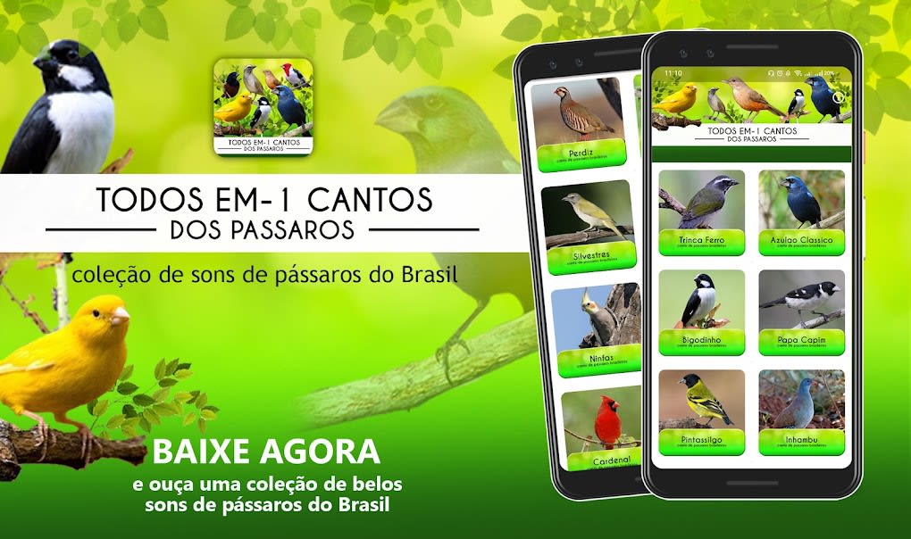 Canto do Papa capim for Android - Download