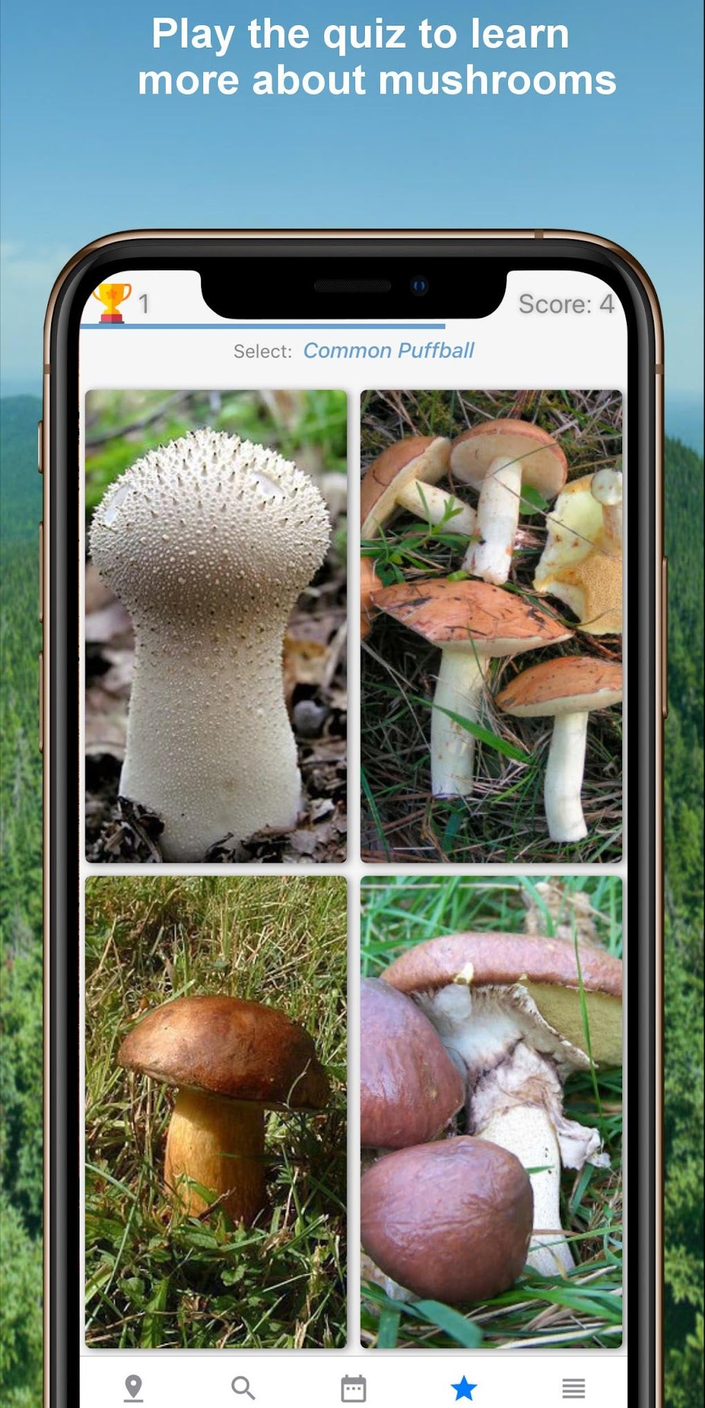 Mushroom Identify - Automatic APK для Android — Скачать