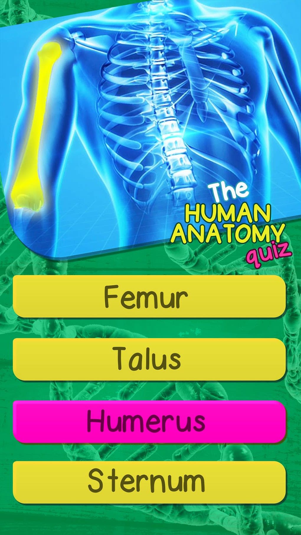 Fêmur - Anatomia Quiz