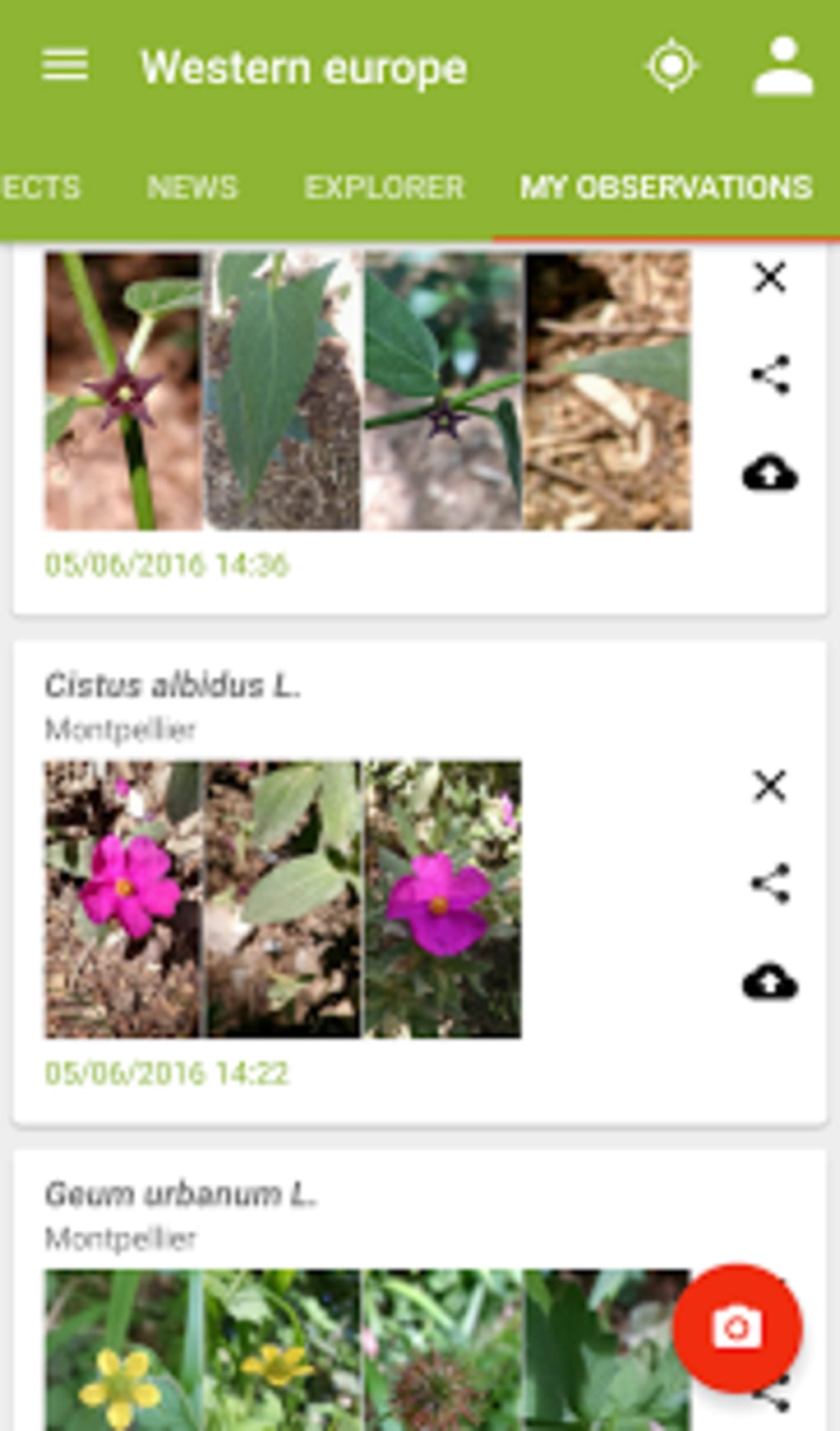 plantnet plant identification apk for android - download