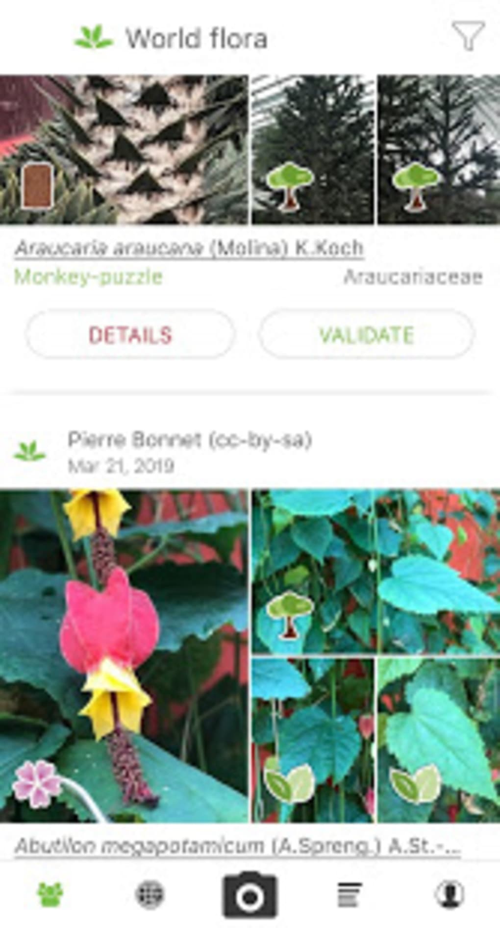 plantnet plant identification apk für android - download