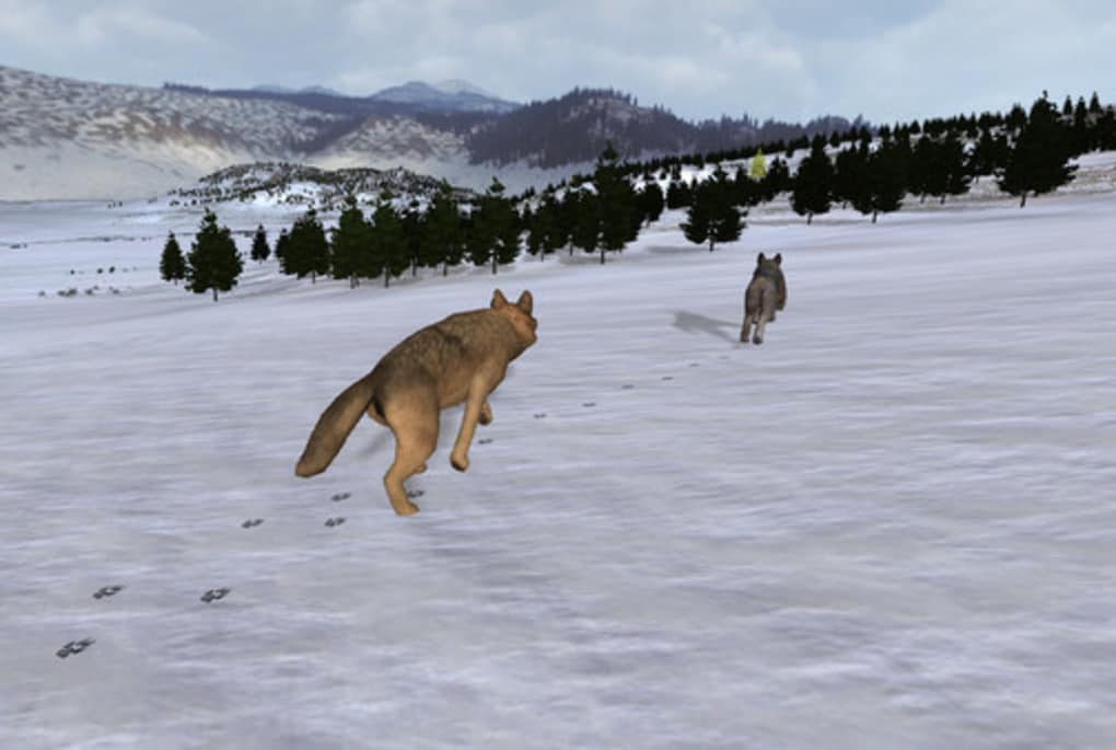wolfquest free download for mac
