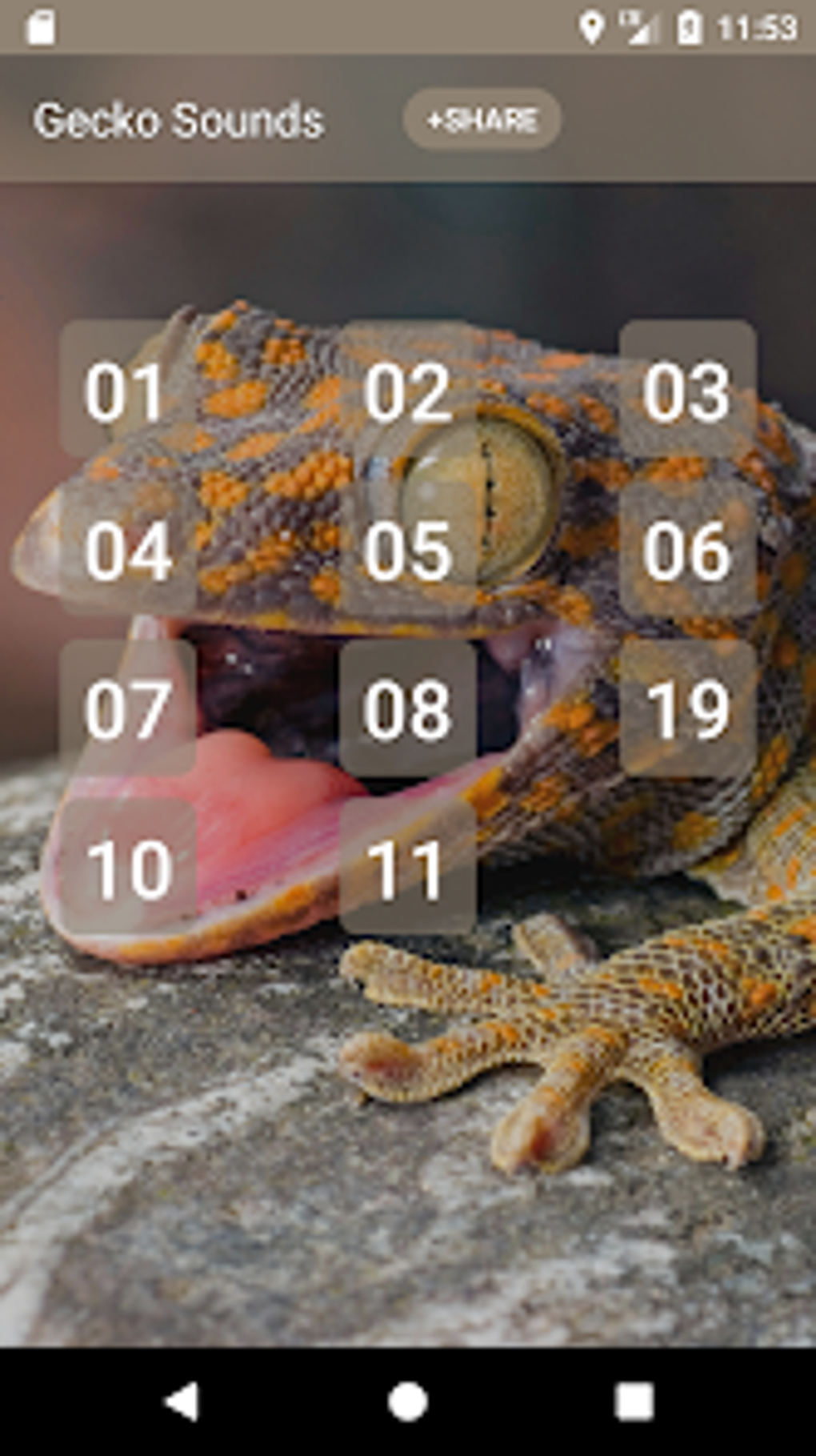 gecko-sounds-for-android-download