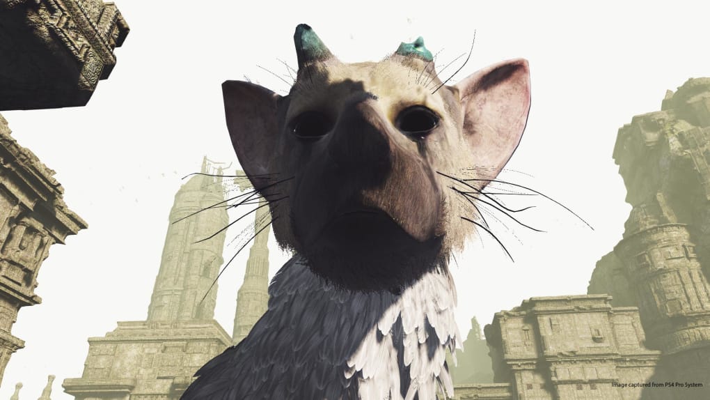 Review: The Last Guardian (Sony PlayStation 4) – Digitally Downloaded
