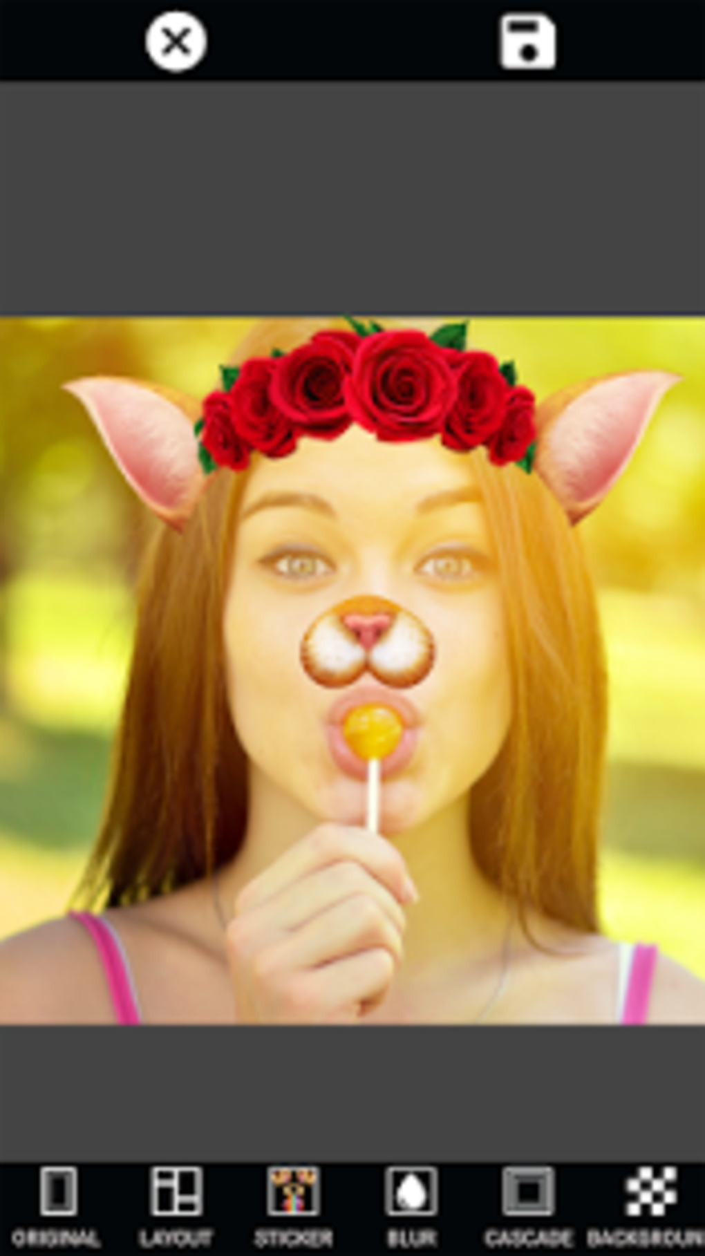 free online photo collage maker without download